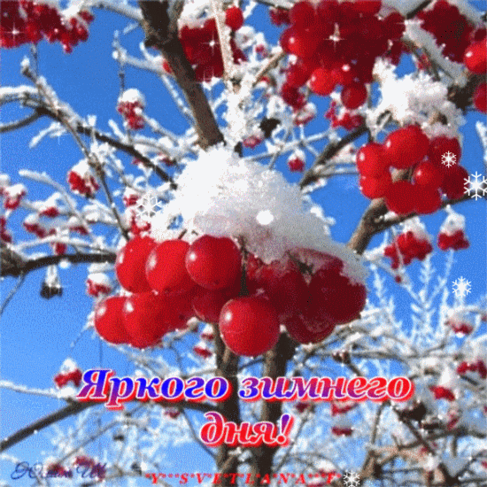 хх