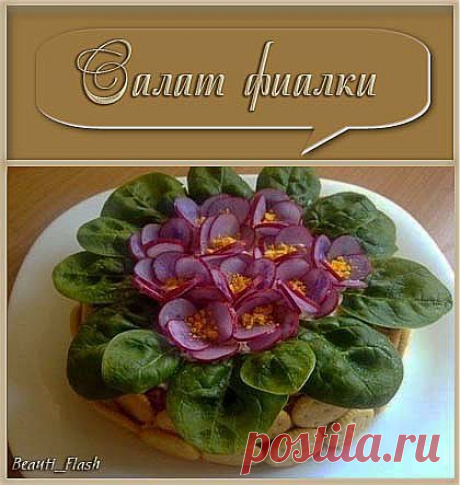 Салат фиалки.