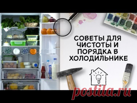 Советы для чистоты и порядка в холодильнике [Идеи для жизни]