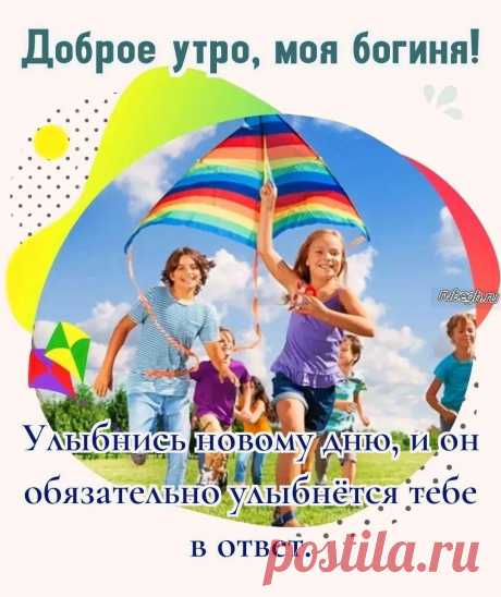 «Доброе утро для жены!»