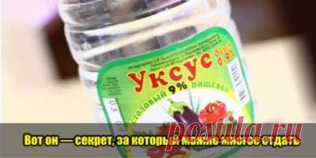Вот он — секрет, за который можно многое отдать | Полезные советы