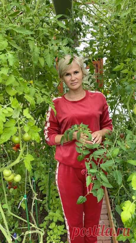 Екатерина Весна 🌺 Ландшафт Сад в Instagram: «Доброе утро, мои дорогие🌸 У нас дожди и до кучи притащился паутинный клещ в теплицу и засел на дыне и арбузе. Разберу эту ситуацию, а…»