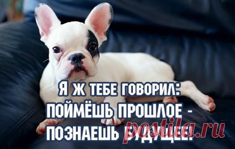 Картинки с надписями. Поймешь прошлое - познаешь будушее.