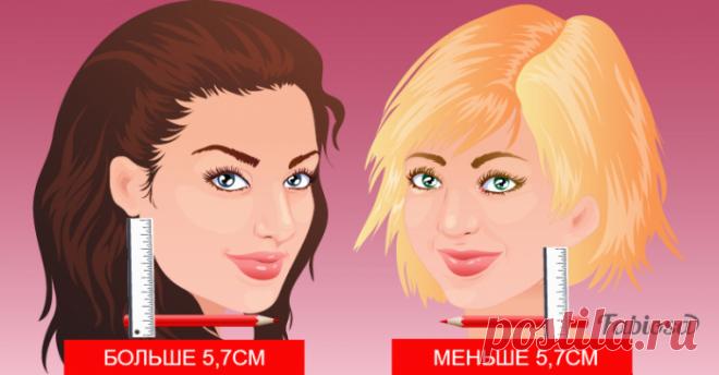 Как понять, пойдет ли вам стрижка: Это нужно знать всем дамам