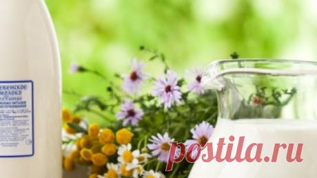 Ученые: любители молока рискуют своим здоровьем » NewsMedik - Новости медицины