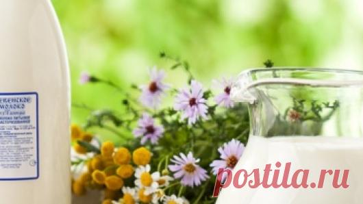 Ученые: любители молока рискуют своим здоровьем » NewsMedik - Новости медицины