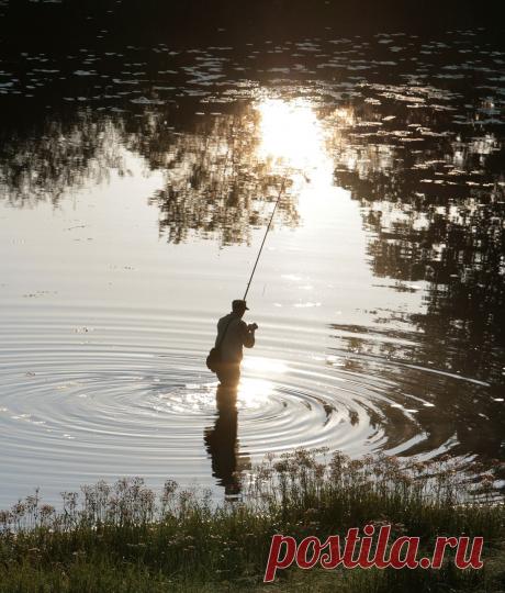 Вологда. Лето 2010 г.