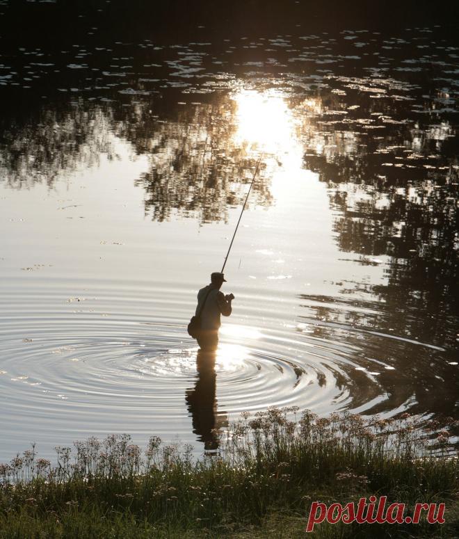 Вологда. Лето 2010 г.