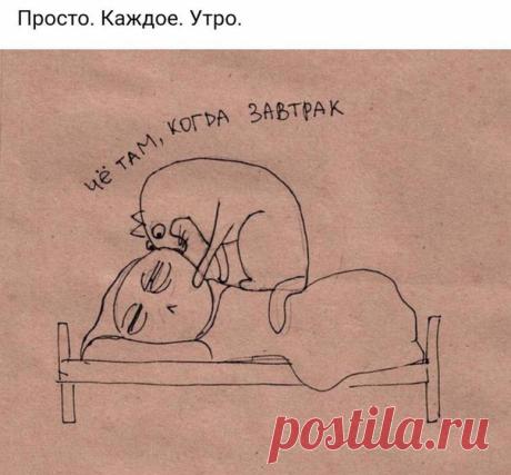 Андрей Андреевич