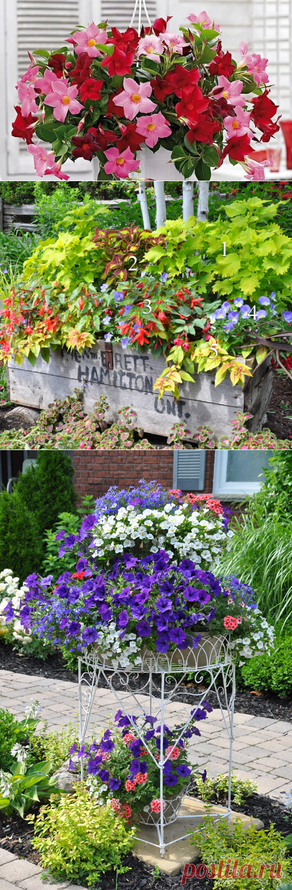 ИДЕИ КОНТЕЙНЕРНОГО САДОВОДСТВА, КОТОРЫЕ ЗАХОЧЕТСЯ ПОВТОРИТЬ НА СВОЕЙ ДАЧЕ — Мир Растений