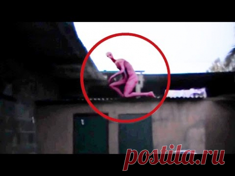 5 НЕИЗВЕСТНЫХ СУЩЕСТВ СНЯТЫХ НА КАМЕРУ