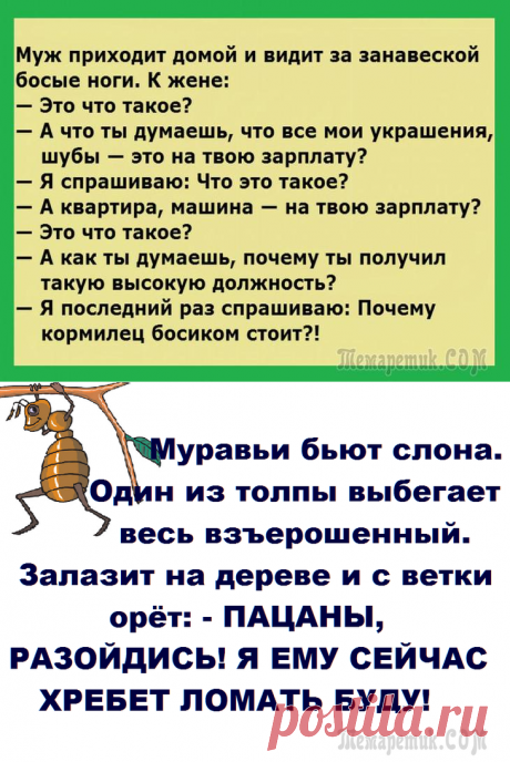 Анекдоты в картинках 3