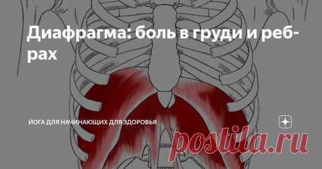 Диафрагма: боль в груди и ребрах Статья автора «Йога для начинающих для здоровья» в Дзене ✍: Триггерные точки в диафрагме вызывают боль, которая ощущается именно в этой области.