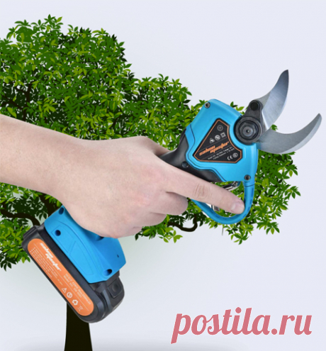 Garden Master
ВАЖНОСТЬ ПОДРЕЗКИ САДА
Органайзер для хранения сумок
Повышение урожайности деревьев и кустарников
 Органайзер для хранения сумок
Формирование правильной кроны
 Органайзер для хранения сумок
Усиление здоровья и сопротивляемости болезням
 Органайзер для хранения сумок
Улучшение качества фруктов и ягод
 Органайзер для хранения сумок
Ускорение роста молодых деревьев
 Органайзер для хранения сумок
Задержка оголения внутренних частей кроны
УПРОСТИТЕ И УСКОРЬТЕ ПОДРЕЗКУ