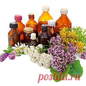 Нашатырный спирт, чистка и другое применение в быту | Полезные советы
