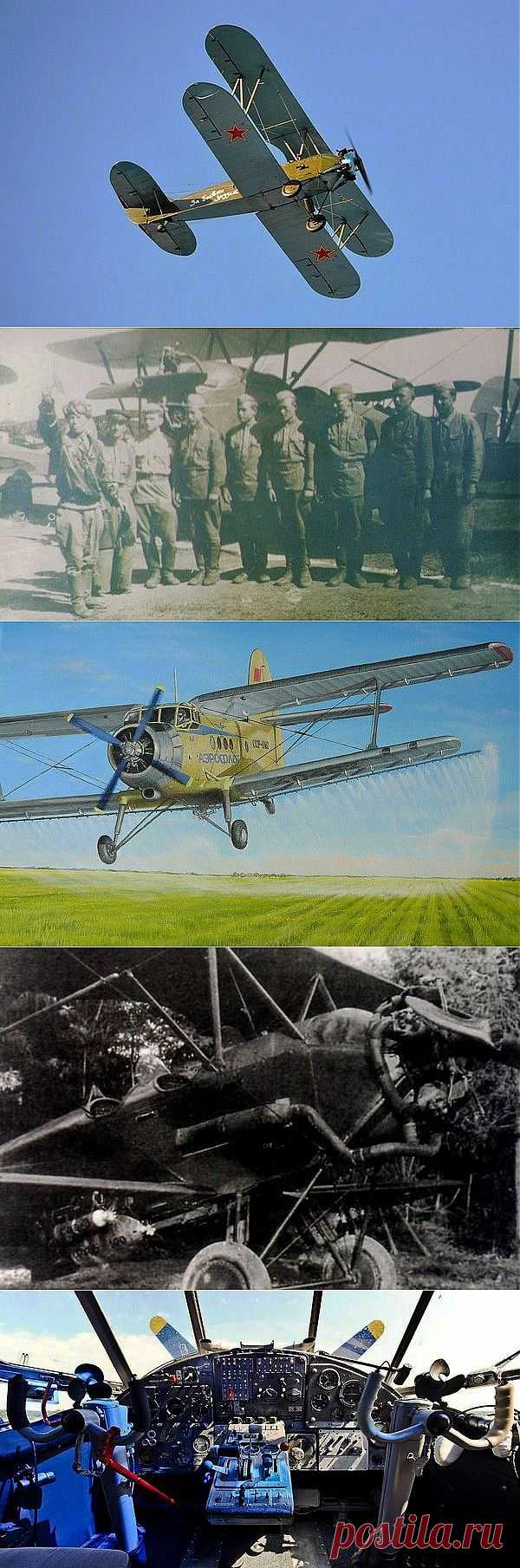 «Кукурузник» - легенда советской авиации / Назад в СССР / Back in USSR