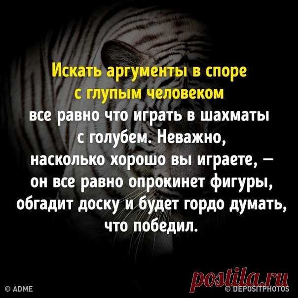 20+ ситуаций, которые доказывают, что с дураком спорить — себе дороже: bit.ly/2IyuUfN: