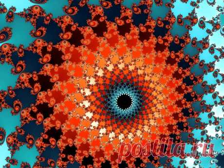 Red Fractal Flowers  Free Stock Photo HD - Public Domain Pictures