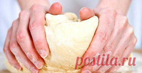 Рецепты самого вкусного теста. Обязательно поделитесь с друзьями!

1. Кефирное тесто с сыром
Ингредиенты:
- 1 чашка кефира
Показать полностью…