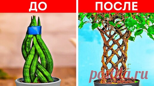 НЕОБЫЧНЫЕ ЛАЙФХАКИ, которые сделают ваш сад незабываемым | БЕРИ И ДЕЛАЙ – Дети | Дзен