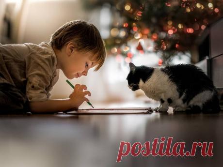 Кликабол. Всё самое интересное - здесь