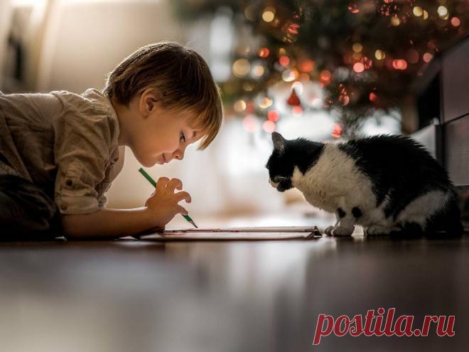 Кликабол. Всё самое интересное - здесь