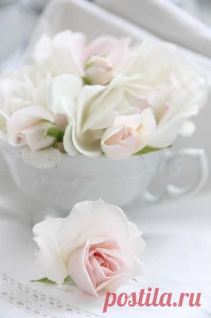 Найдено на сайте apositivelybeautifulblog2.tumblr.com.