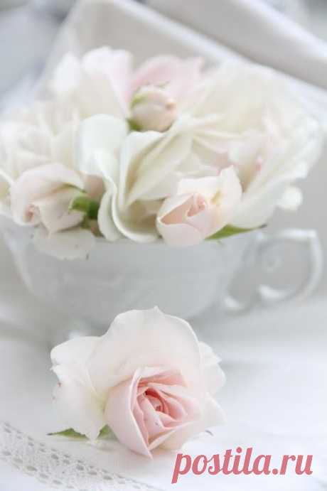 Найдено на сайте apositivelybeautifulblog2.tumblr.com.