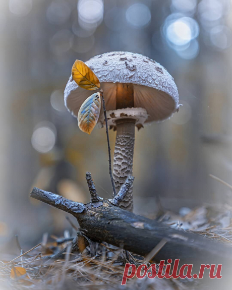 i (1080×1350)