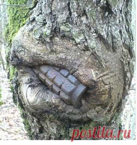 Память о Войне