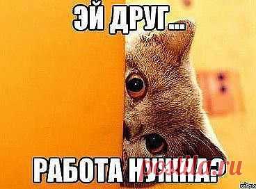 ЧТО БЫ ДОСТИЧЬ ВЫСОТ НУЖНО НАЧАТЬ ИДТИ УЖЕ СЕГОДНЯ!! Приглашаю в проект где зарабатывают сидя у себя дома все желающие зарабатывать. При этом работая не просто дома но и 3-5 часов в день. и не Просто зарабатывая а получая от 1000S более подробно лс