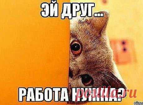 ЧТО БЫ ДОСТИЧЬ ВЫСОТ НУЖНО НАЧАТЬ ИДТИ УЖЕ СЕГОДНЯ!! Приглашаю в проект где зарабатывают сидя у себя дома все желающие зарабатывать. При этом работая не просто дома но и 3-5 часов в день. и не Просто зарабатывая а получая от 1000S более подробно лс