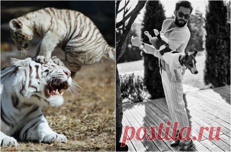 17 победителей проекта «Лучшие фотографии России»