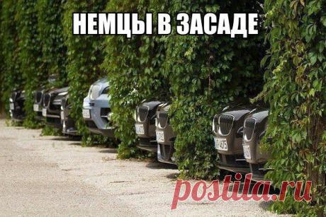 Юмористика • 18+