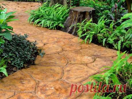 Landscaping Ideas: Backyard & Front Yard Decor (DESIGNS)