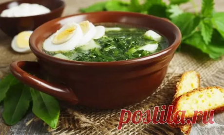 Летние щи: с капустой, с крапивой, со щавелем и другими вкусностями