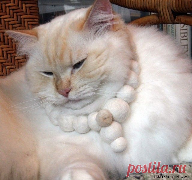Кошачья шерсть для мокрого и сухого валяния.