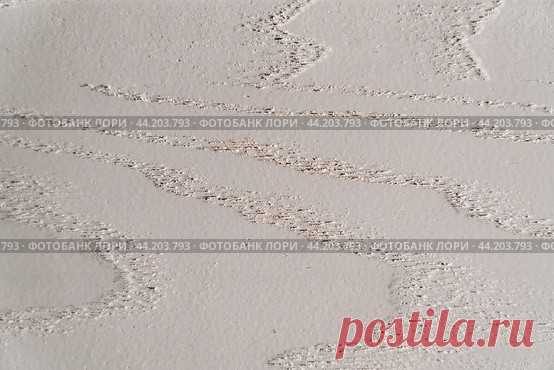 Close-up of white wood door, texture background Стоковое фото, фотограф Ilaronsia / Фотобанк Лори