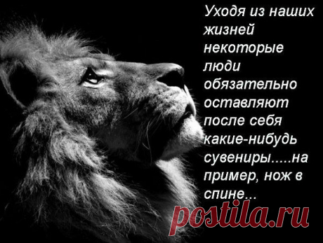 Интересные новости