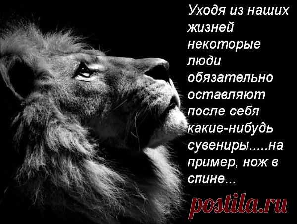 Интересные новости