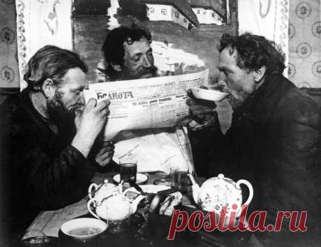 5 слов, в которых неправильно определяют род | Филологический маньяк | Яндекс Дзен
