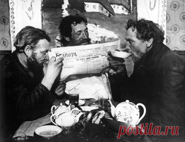 5 слов, в которых неправильно определяют род | Филологический маньяк | Яндекс Дзен