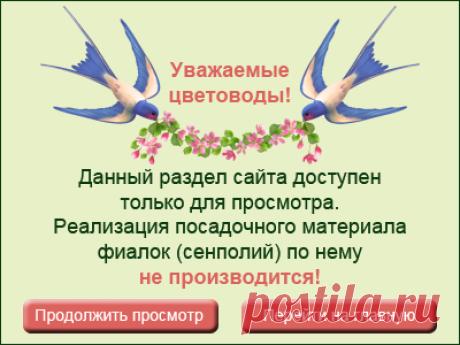 Каталог фиалок. Продажа фиалок. Коллекция фиалок Ирины Кормилициной.