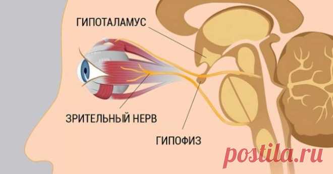 8 шагов, которыe помогут восстановить зрение - Животик ОК!