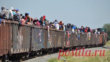 Американская журналистка назвала большую угрозу для США. Американская журналистка Томи Ларен заявила в своем Twitter, что большую угрозу для США представляет рекордный приток мексиканских мигрантов. &quot;Открытая граница — опасная авантюра&quot;, — заявила она. Ранее ...