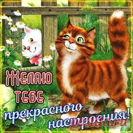 Желаю тебе прекрасного настроения!