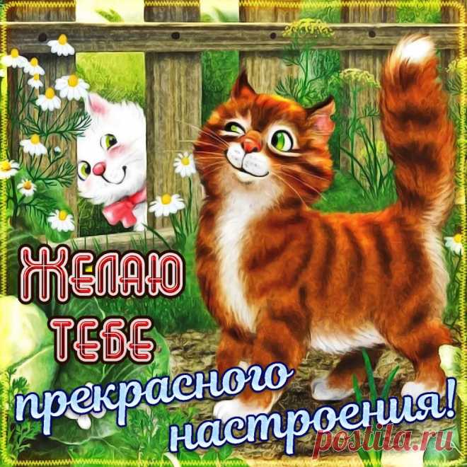 Желаю тебе прекрасного настроения!
