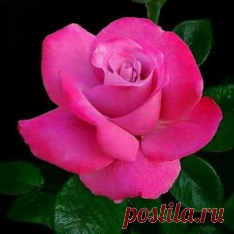 Публикация Magdi Agwa в Instagram • 13 Янв 2019 в 9:24  UTC 0 отметок «Нравится», 0 комментариев — Magdi Agwa (@magdi_agwa) в Instagram