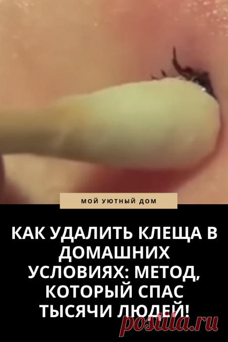 Советы как удалить клеща в домашних условиях