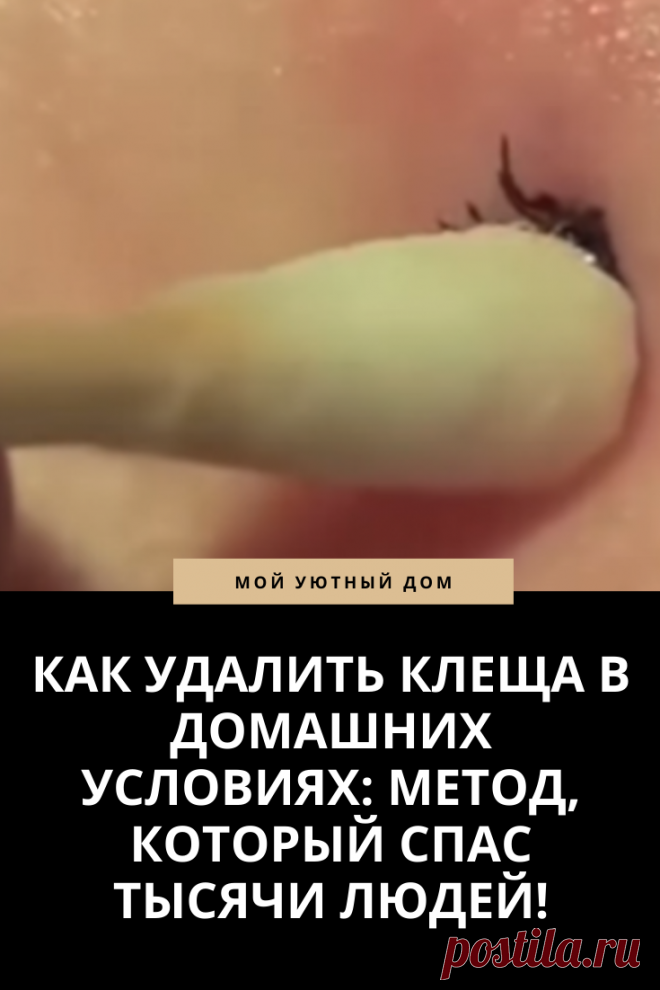 Советы как удалить клеща в домашних условиях